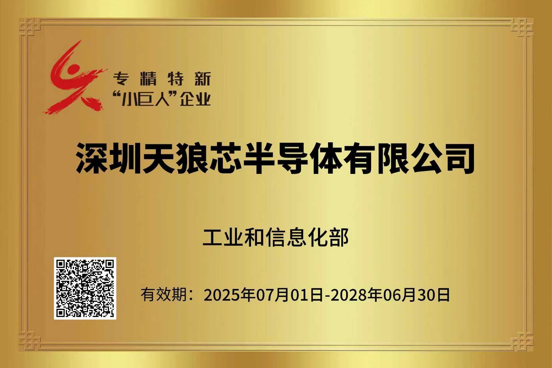 小巨人证书
